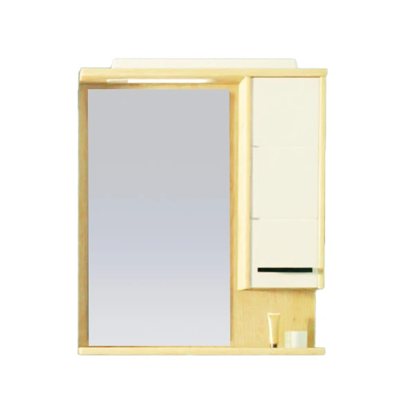 Ogledalo TMP 55